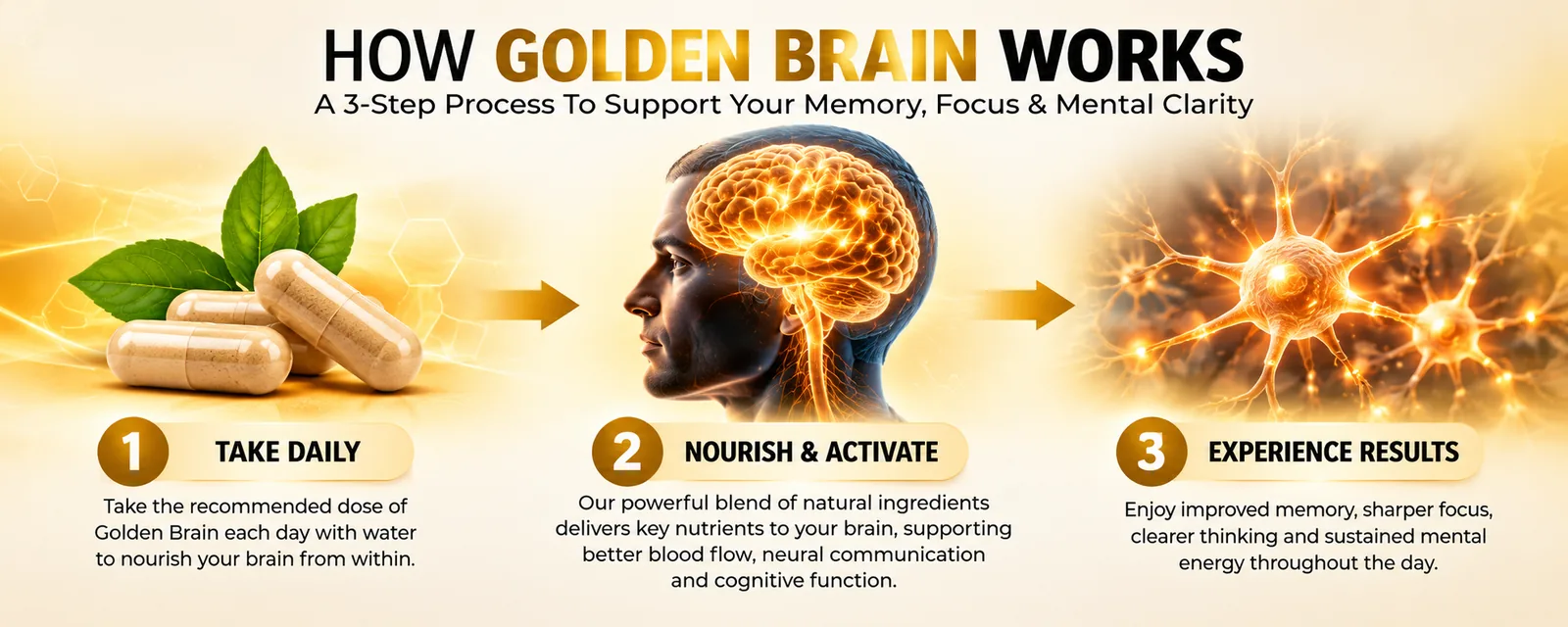 Infographic: take GoldenBrain daily, nourish and activate with natural ingredients, then enjoy sharper focus and clearer thinking